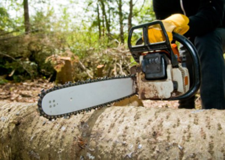 chainsaw cutting through fallen tree trunk
