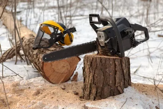 A chainsaw and yellow ear defenders placed on a cut log stump beside a felled trunk in the snow.