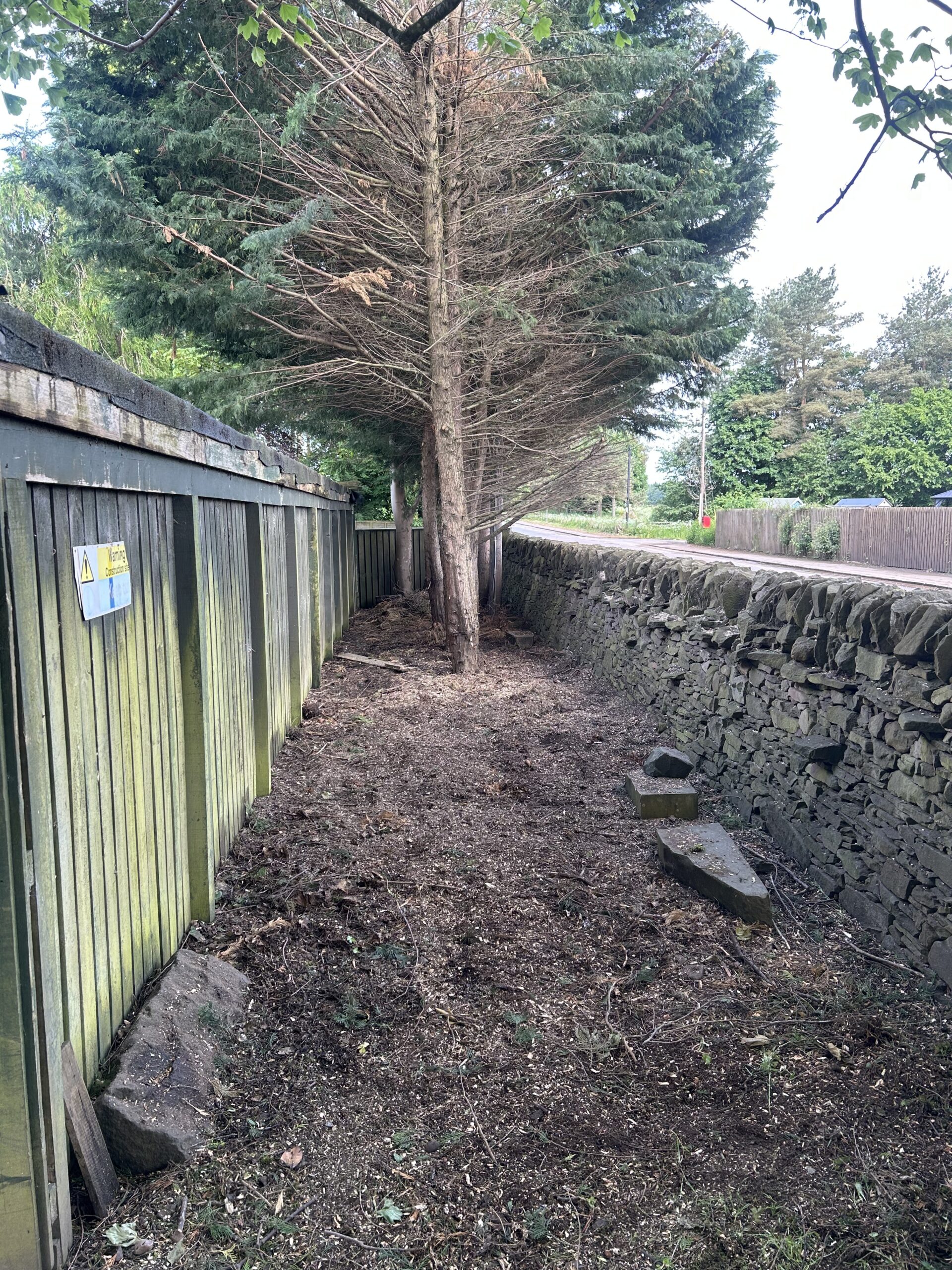 A strip of garden land cleared of undergrowth beside a dry stone wall and fence.