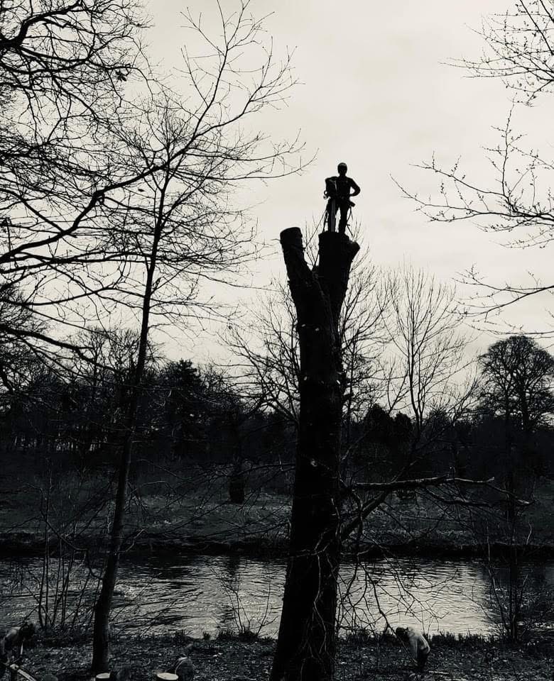 A climber standing atop a tall felled tree stem beside a river.