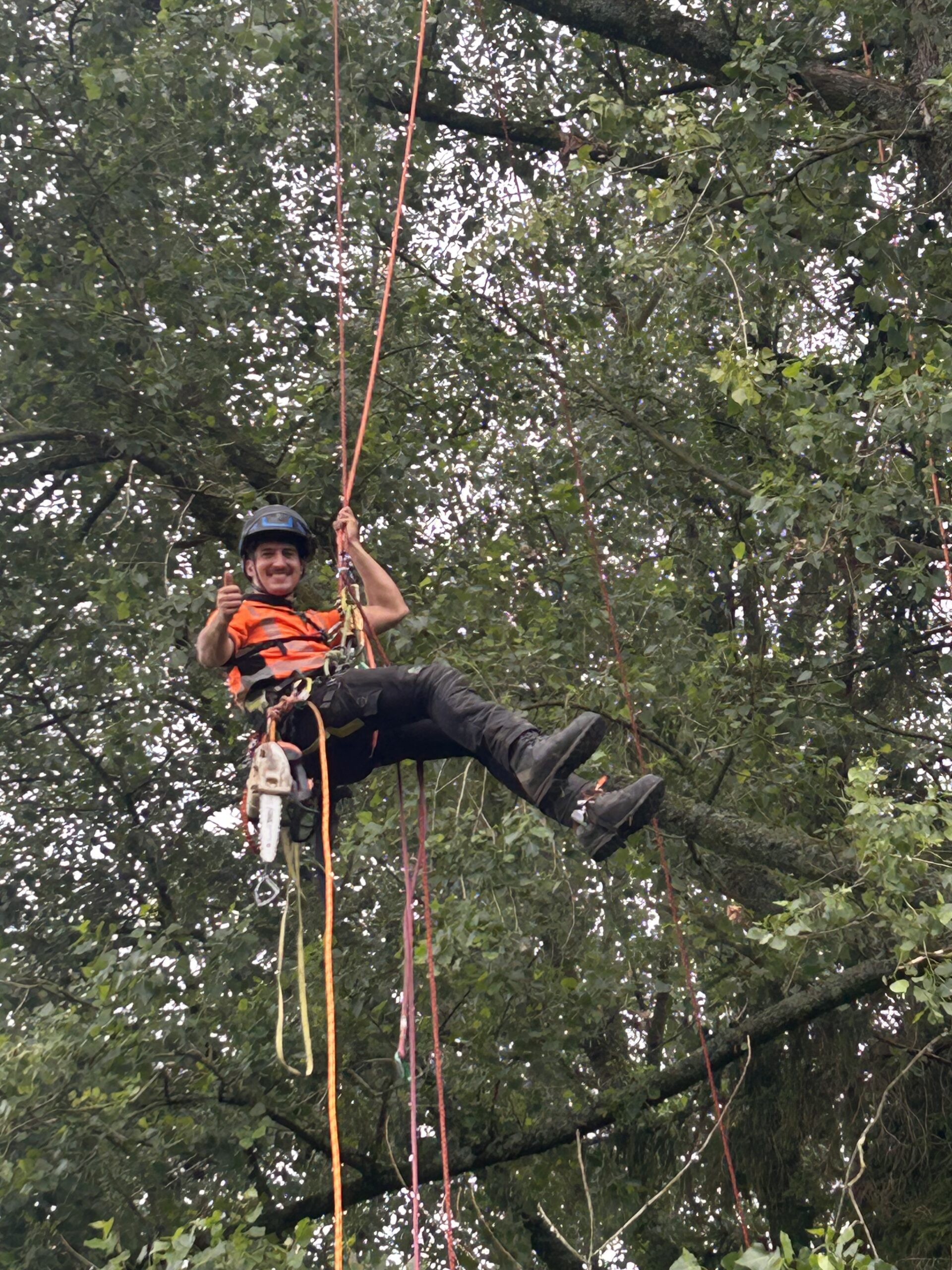 A climber suspended on ropes, giving a thumbs up in the canopy.
