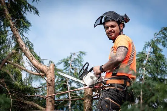 A smiling tree surgeon in an orange hi-vis shirt and climbing helmet holding a chainsaw while perched among cut conifer branches.
