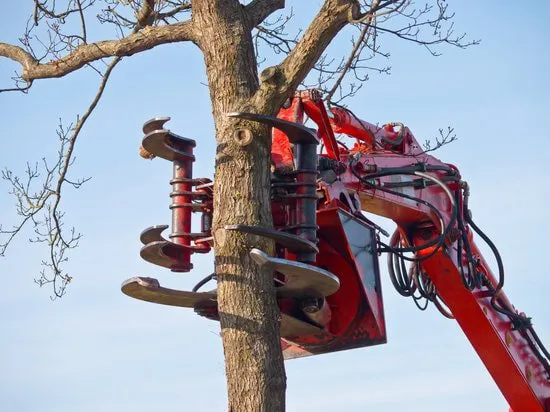 A crane-mounted grapple saw attachment gripping and cutting through a tree trunk against a blue sky.