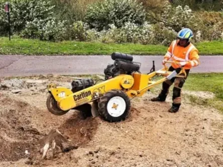 d20c6c_stump removal stump grinder stump grinding stump removal near me stump grinding