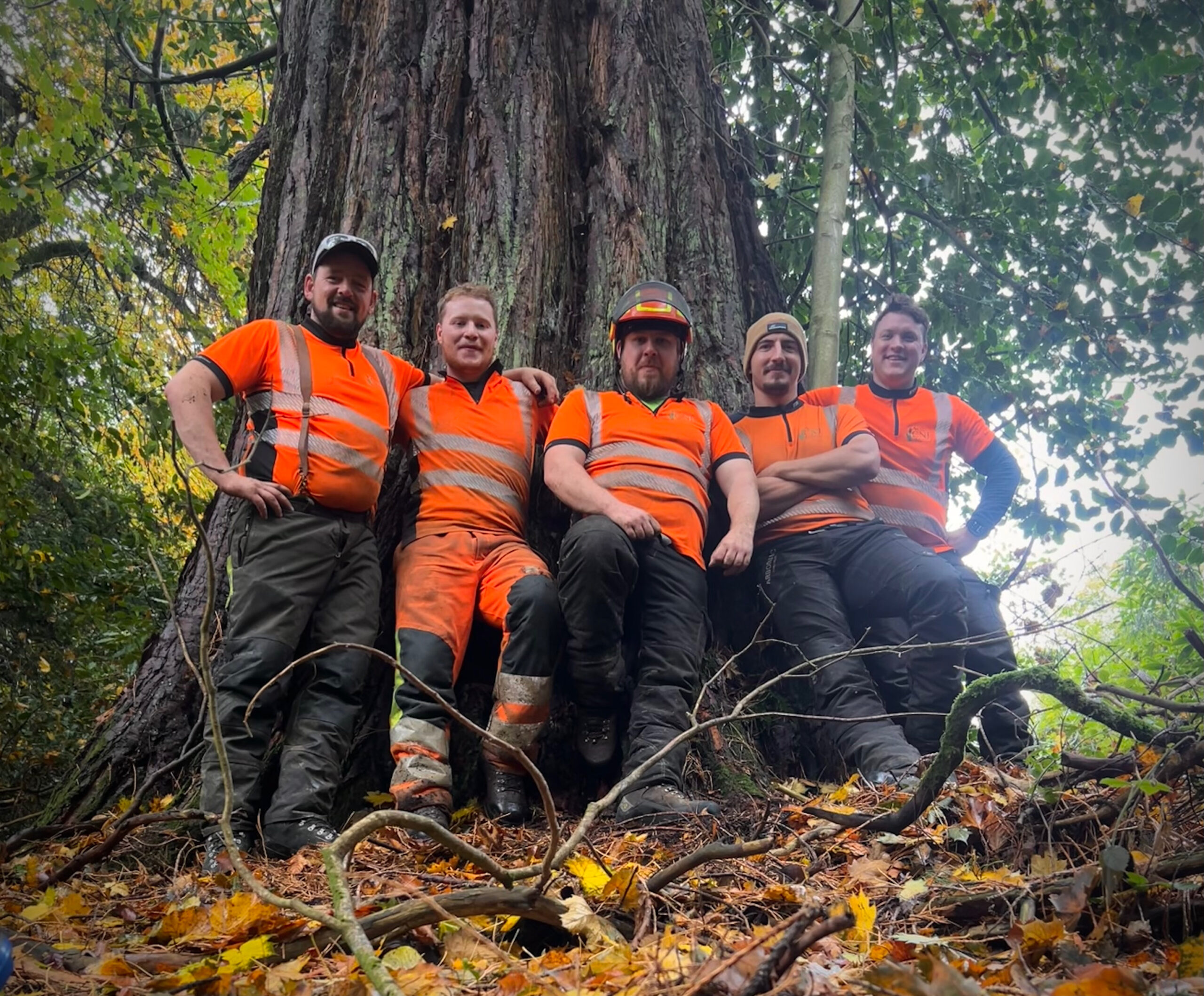 Five tree surgeons in hi-vis workwear posing beside a large felled trunk.