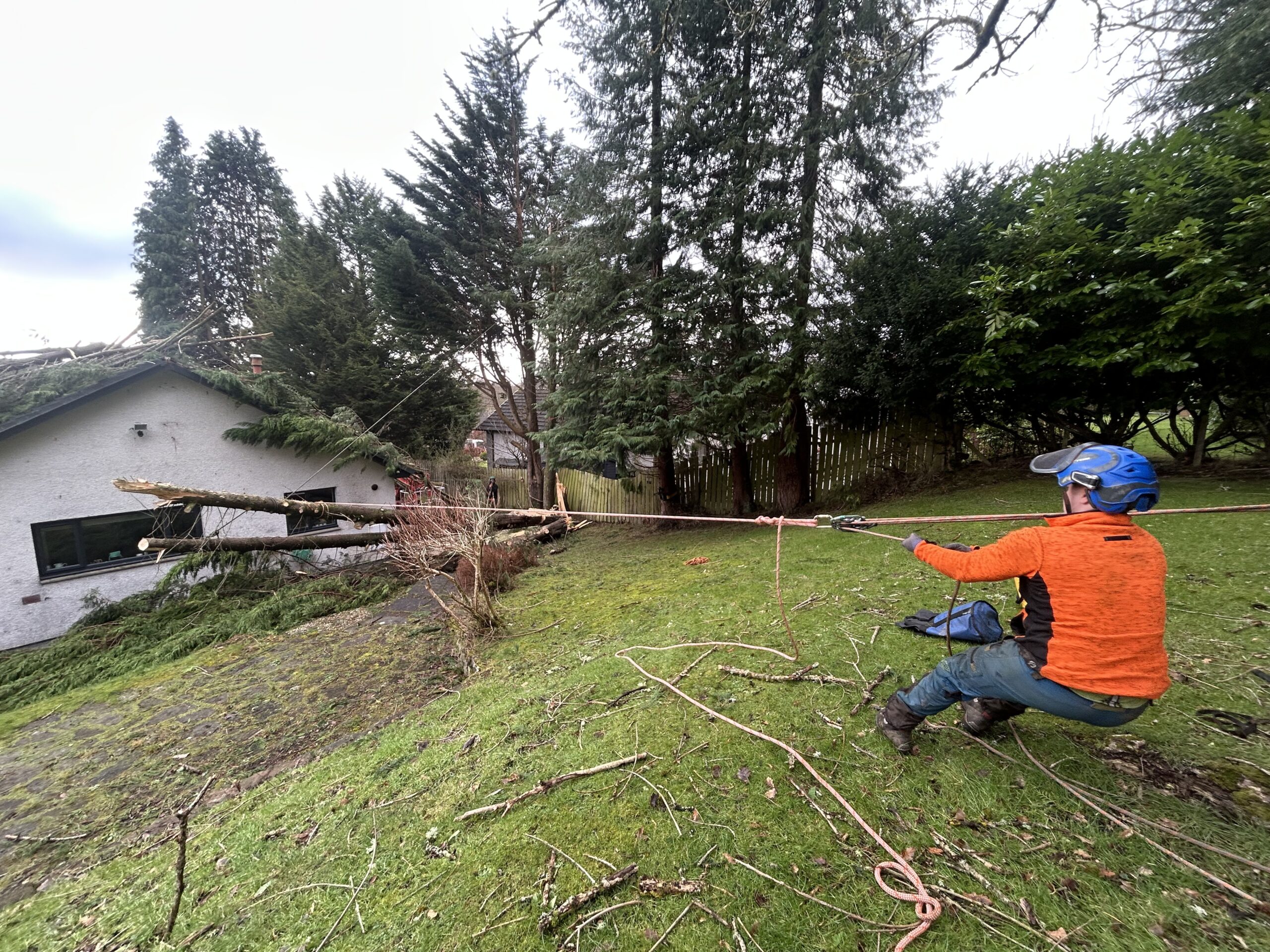 Rope rigging being used to pull a storm-fallen tree off a bungalow roof.