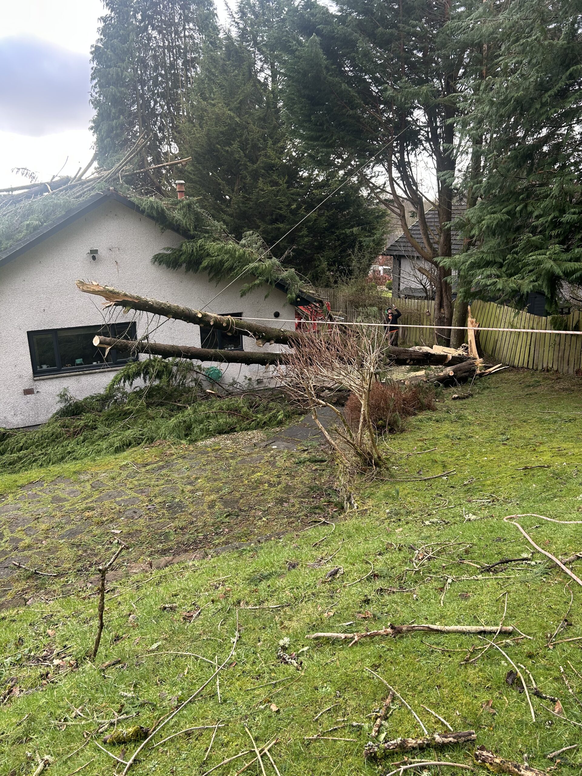 Storm-fallen trees crushing a house roof and windows after severe weather.