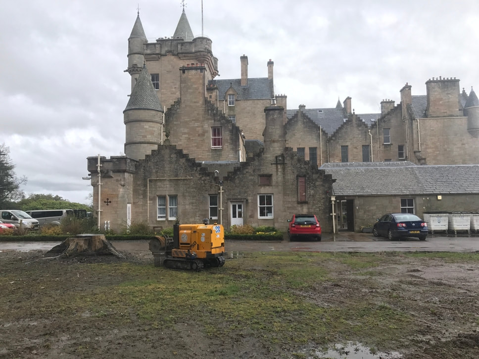 stump grinder outside grand stone castle building
