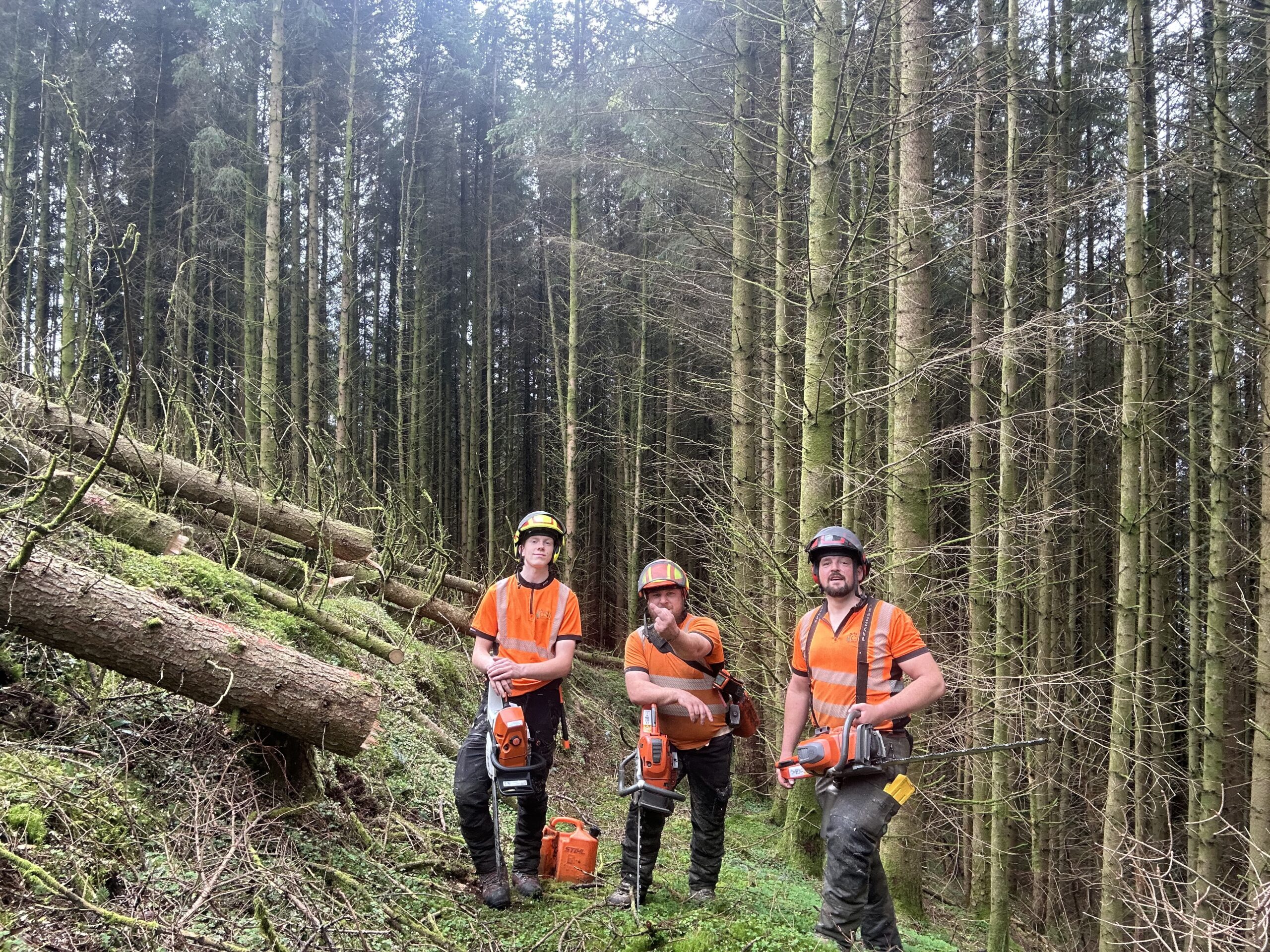 Three tree surgeons posing with chainsaws beside a large felled log.