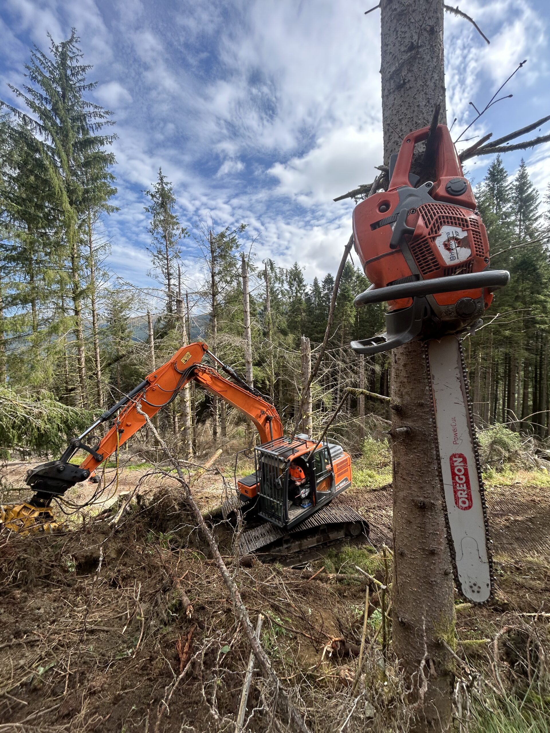 A tracked forestry excavator felling trees in woodland.