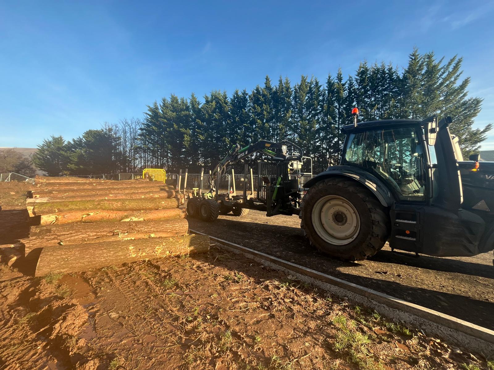 A tractor with a forwarder trailer loading cut logs on site.