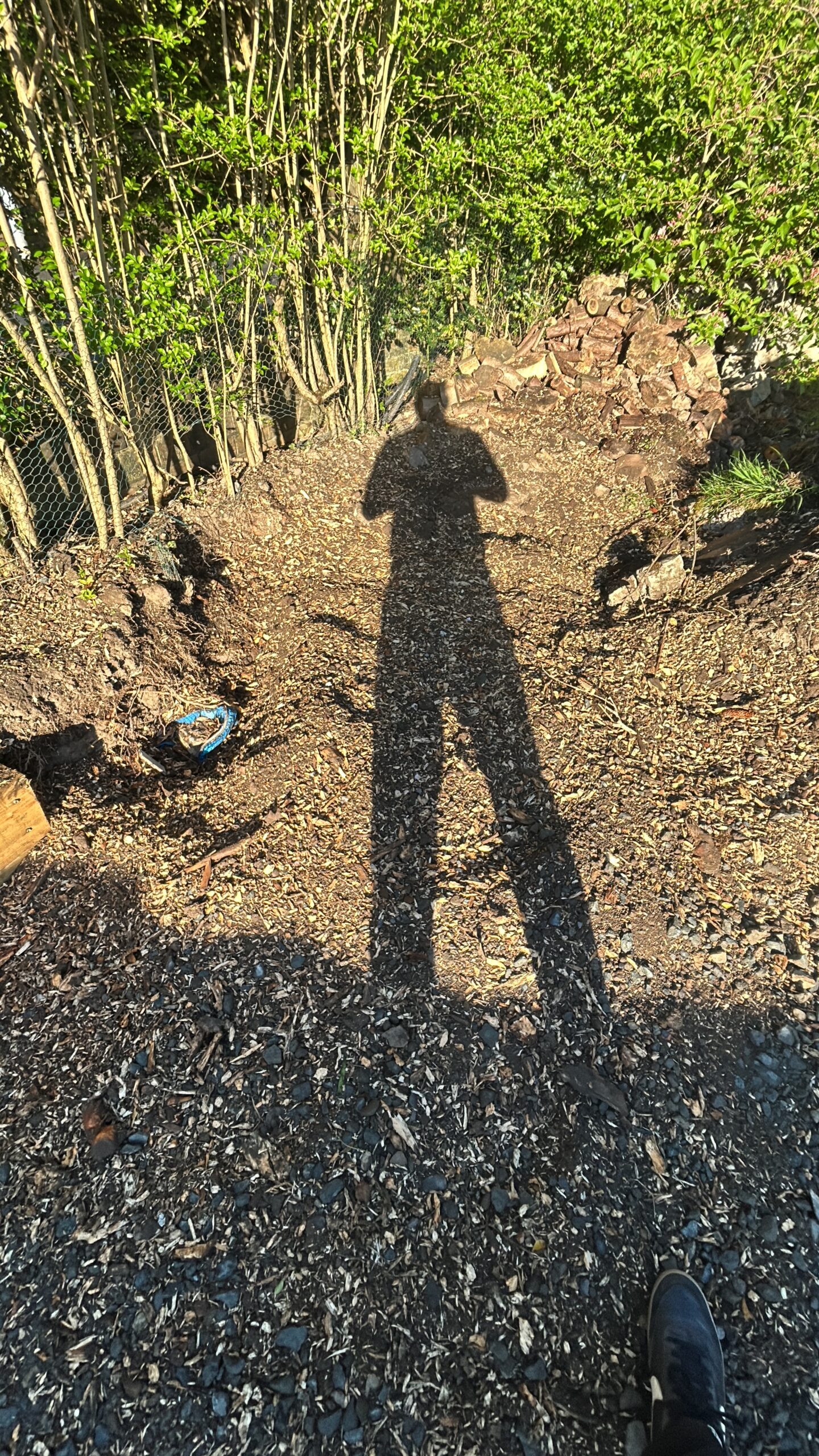 A worker's shadow cast over freshly cleared ground covered in wood chip.