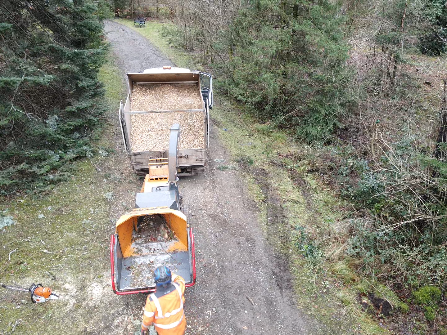 A wood chipper loading chippings into a forestry truck during a clearance job.